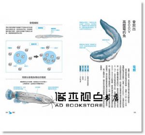 生命無奇不有！海、河、湖的怪奇生物圖鑑 東販]