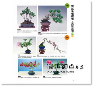 群境介《打造我的迷你盆栽樂園：13~15cm小巧尺寸，也能開花結果，展現各種迷人樣貌！》瑞昇