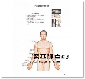 靳士英《簡明人體經絡與常用穴位圖冊》 [積木]