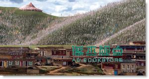 寻访香格里拉: 探索失落的茶马古道 Shangri-La: Along the Tea Road to Lhasa