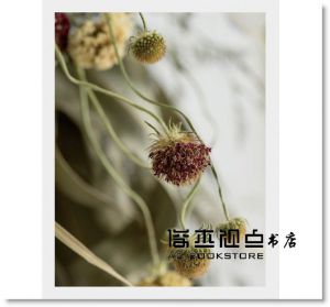 Kristen《綠色穀倉．最多人想學的24堂乾燥花設計課》噴泉文化館