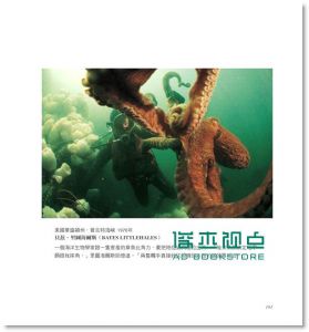 国家地理杂志百年摄影经典National Geographic: The Photographs