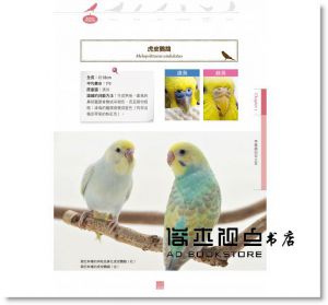 鈴木莉萌《開始養鸚鵡就上手》晨星