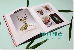 IdN Extra 11：《Cercle》昆虫：对话及图像