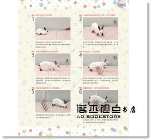 町田修《兔子的快樂遊戲書》漢欣