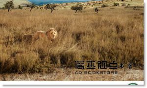 Lürzer's Archive 广告档案（英文版）NO.5/2017
