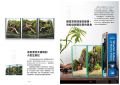 小森智之《室內綠設計生態缸：從栽培、造景到飼養動物一本搞定》東販