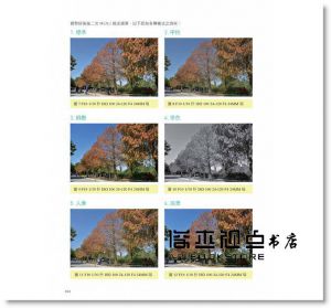 陳仁文《Nikon D750 瞬間寫真，百分百驚艷 (暢銷好評版)》輕刻