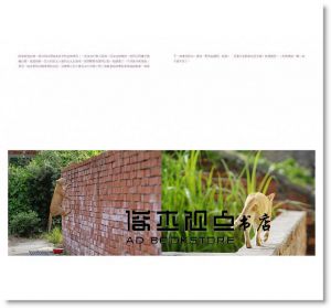 貓夫人《台灣這裡有貓(2018增修版)》 [腳ㄚ文化]