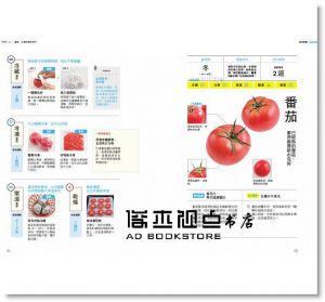 现货 德江千代子《食材保鮮這樣做》天下文化