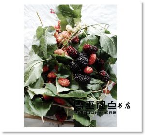 張芳玲《第三人生自己設計(好禮新裝版)》太雅出版社