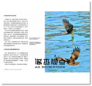 陳世一《鷹飛基隆：台灣最美的四季賞鷹秘境》 [新自然]