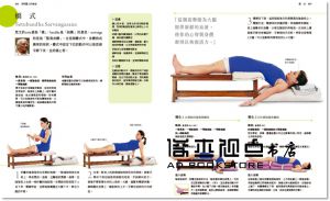 艾揚格《艾揚格瑜伽修習寶典：大師親授體式精要，360°全方位步驟解析，幫助練習者持續走向身心整合的健康之路》積木
