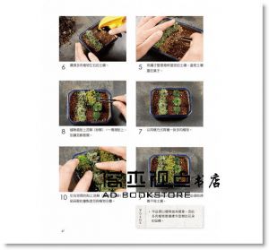 葉住直美《苔蘚盆景&微景觀生態瓶DIY》[晨星]