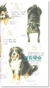 色铅笔的动物日记（畅销纪念版）
