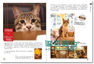 貓日和咖啡館：店長共度的午后時光 11[高寶][林冠良]