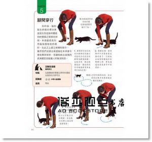 克萊兒．艾洛史密斯《 貓咪的腦部訓練：完整圖解教學33個簡單卻多樣化的大腦訓練遊戲！》晨星