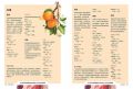 《康普茶聖經：268種調味X 400份食譜，紅茶菌發酵飲自釀指南》
