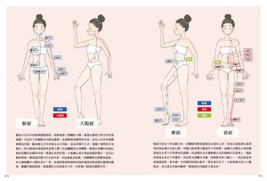 葉鳳凰《養氣經絡瑜伽──運用經絡的氣行導引》積木