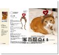 《 世界上最可愛的貓咪毛線帽：30款給貓主子的棒針及鉤針編織帽》 朱雀]