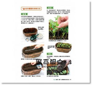 陽臺種菜 [康鑑文化][主婦之友社]