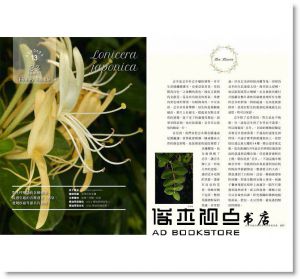 阿娥《女巫阿娥的居家香草保健萬用書：20種隨手可得的香草植物，從洗頭到治鐵腿、從美顏到消炎，用過就會愛上的保健良方》原點