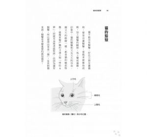山根明弘《貓咪真厲害：小小獵人的動物行為學X療癒文化，貓島科學家的貓咪學》臉譜