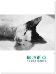 现货 《荒木經惟: 寫真的愛與情》 大家出版社