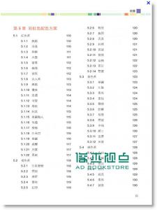 网页配色の即效见本 (附DVD)