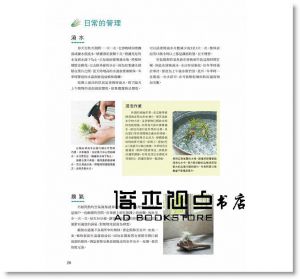 雜貨風綠植家飾：空氣鳳梨栽培圖鑑118 [噴泉][鹿島善晴]