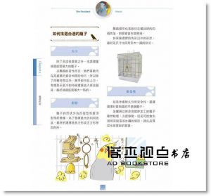 鈴木莉萌《開始養鸚鵡就上手》晨星