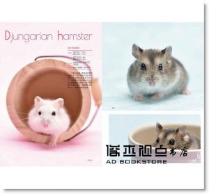 倉鼠完全飼養手冊：快來認識你的小夥伴！[東販][大野瑞絵]