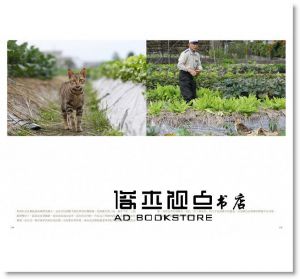 貓夫人《台灣這裡有貓(2018增修版)》 [腳ㄚ文化]