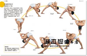 艾揚格《艾揚格瑜伽修習寶典：大師親授體式精要，360°全方位步驟解析，幫助練習者持續走向身心整合的健康之路》積木