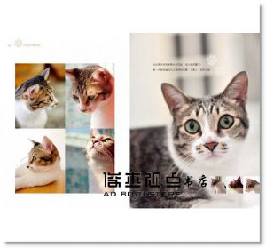胡涓涓《溫柔陪在你身旁：Carol與14隻貓咪們的生活。日常。》日日學