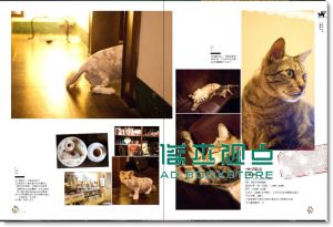 貓日和咖啡館：店長共度的午后時光 11[高寶][林冠良]