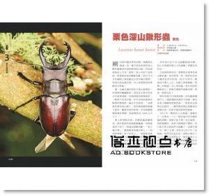 鍬形蟲日記簿   [紅樹林][黃仕傑]