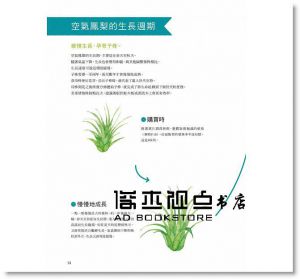 雜貨風綠植家飾：空氣鳳梨栽培圖鑑118 [噴泉][鹿島善晴]