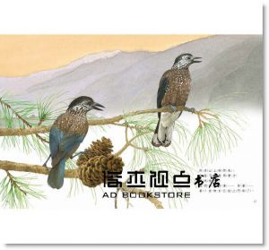<< 野鳥食堂(內含野鳥知識小百科)> >青林