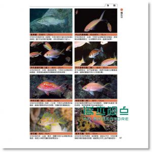 海水魚與海中生物完全圖鑑 15 [東販]