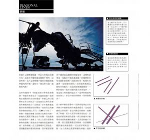 麥可‧弗里曼 《攝影師之眼：數位攝影的思考、設計和構圖（10週年數位修復珍藏版）》大家出版