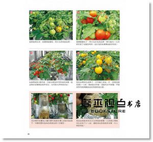 利用寶特瓶栽種蔬菜  [康鑑][吉川泰正]
