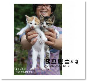 李龍漢《人類太忙，貓咪的事自己來》大田