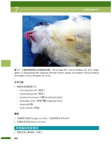Lance Jepson 特寵醫學速查手冊 第二版 台灣愛思唯爾