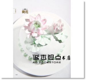 王森《蛋糕裝飾：第一次就成功》 [和平國際]