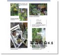  MUSASHI BOOKS  《雜貨×植物的綠意角落設計BOOK：打造輕園藝質感小日子》噴泉