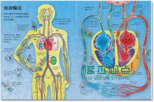 凱蒂．戴尼斯《小翻頁大發現: 我的身體奧祕大發現》水滴