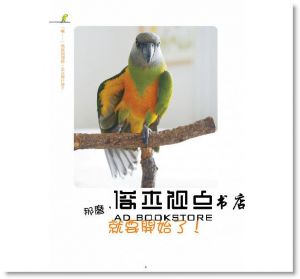 濱本麻衣 《鸚鵡的肢體語言超好懂》 [漢欣]