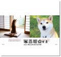 和詩俱樂部《柴田部長的京都日常：日本第一的超美形商品模特柴犬（自稱）》尖端