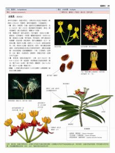洪裕榮 台灣蝴蝶食草植物全圖鑑（347種台灣蝴蝶 × 788種食草雙向速查，特別收錄4種肉食性蝶類幼蟲）貓頭鷹